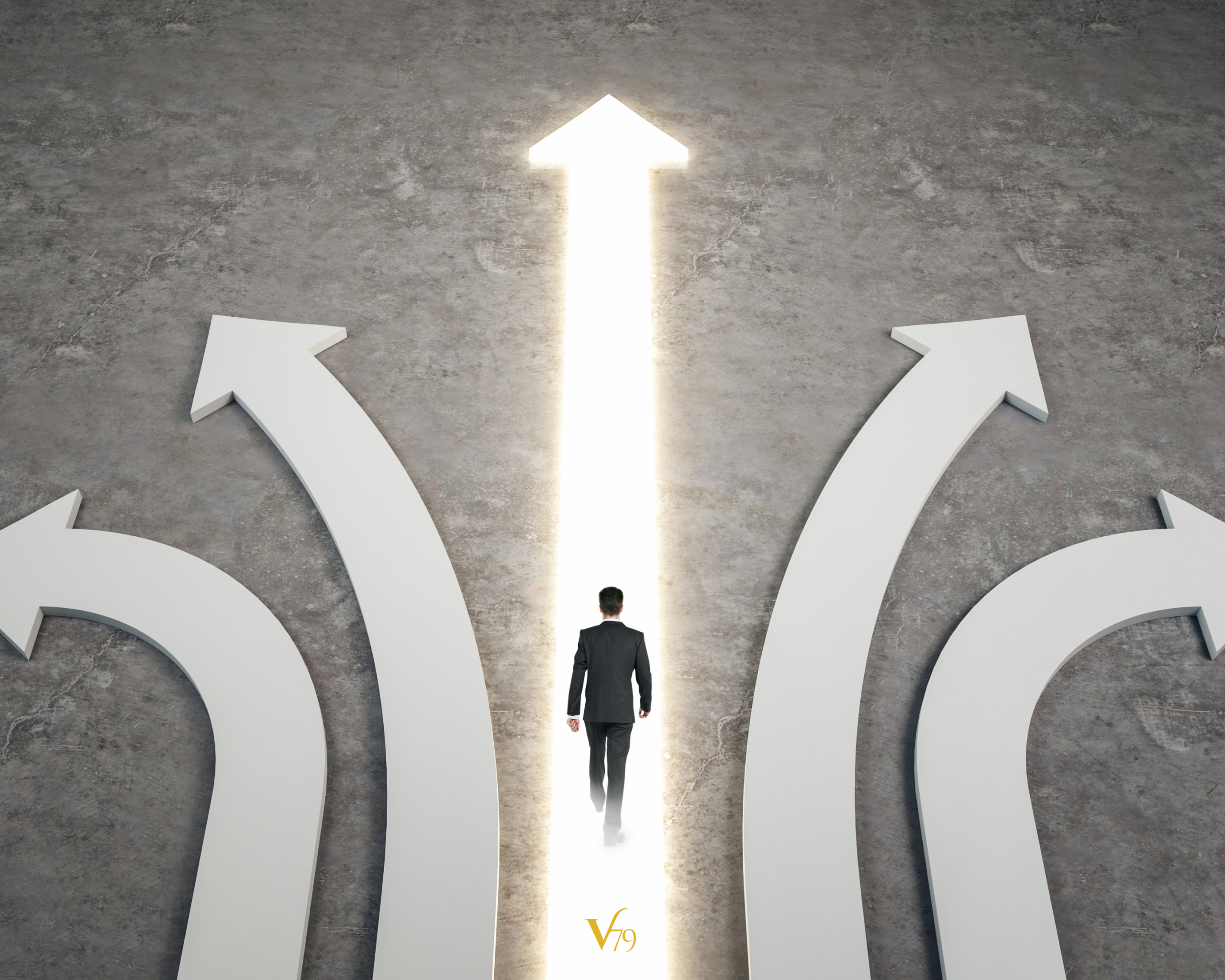 Clear direction with Vector79