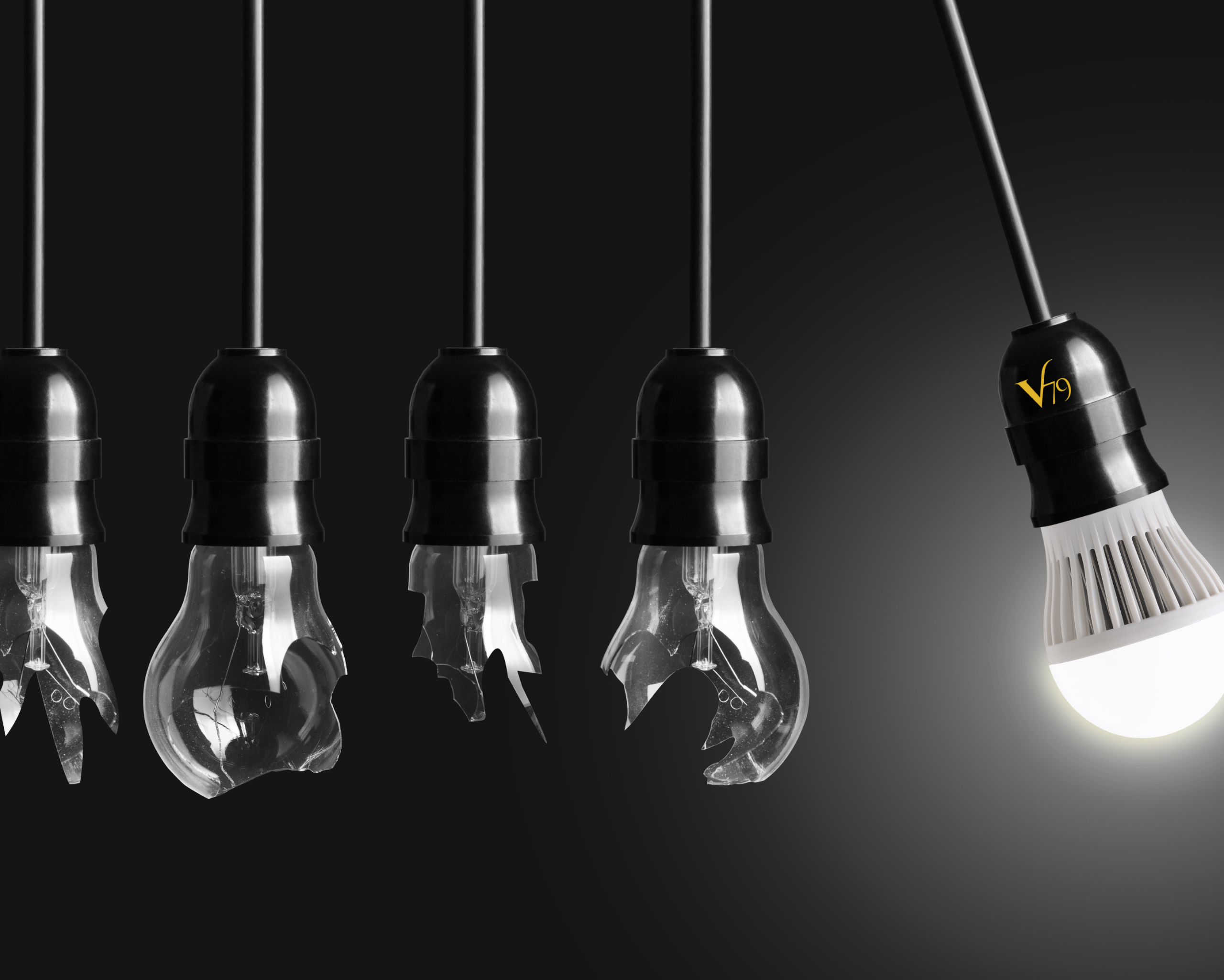 Vector79 provides clear action that drives growth